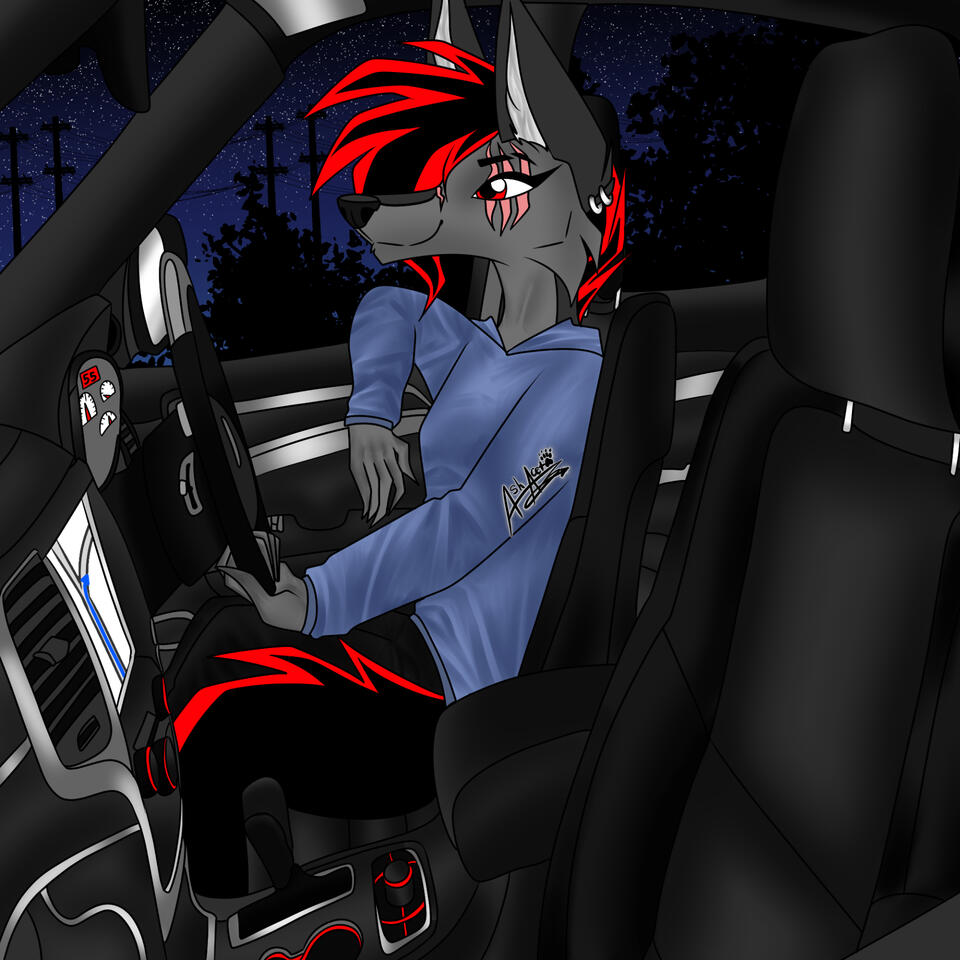 FULL SHADING AND BACKGROUND